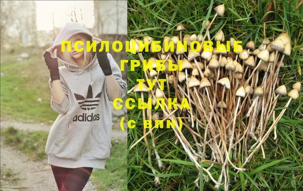 MESCALINE Магас