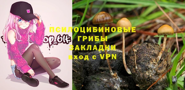 apvp Лихославль